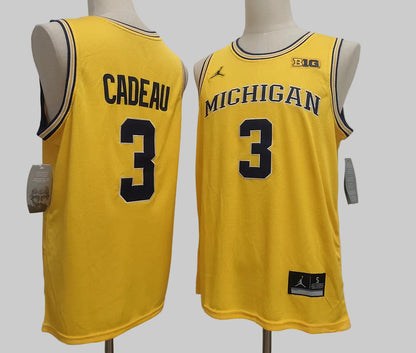 Men's Michigan Wolverines #3 Elliot Cadea Gold Basketball Jersey All Stitched