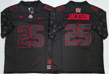 Men's Bo Jackson #25 Ohio State Buckeyes Black Vapor Jersey -All Stitched