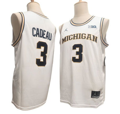 Men's Wolverines White Navy Basketball Jersey All Stitched