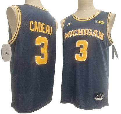 Men's Wolverines White Navy Basketball Jersey All Stitched