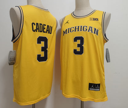 Custom Elliot Cadeau #3 Wolverines Gold Navy White Navy Black Rebel Edition Victory Basketball Jersey -All Stitched